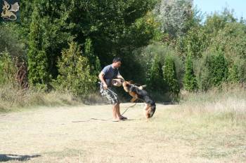GamePlay