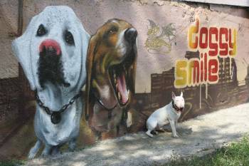doggy smile