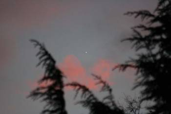 star