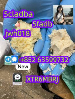 fast-delivery-5cl-5cladb-5cladba-precursor-5cl-a-d-ba-5f-a-d-b-mdma-5cl-a-d-bb