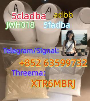 5cl adb raw materials 5cl 5cladba precursor in stock from China supplier