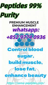 99% pure beauty fat loss and muscle gain factory direct supply, in stock, low price, free sample