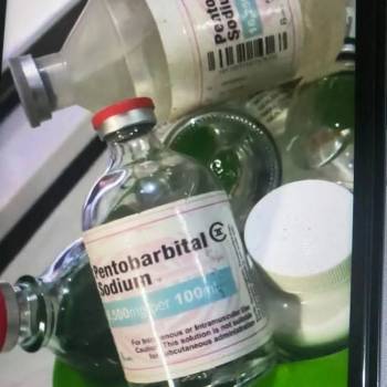 Купете перорален разтвор на Nembutal Pentobarbital за спокойно излизане с BITCOIN/USDT