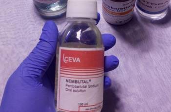 Nembutal/Pentobabital,Mounjaro weightloss injection