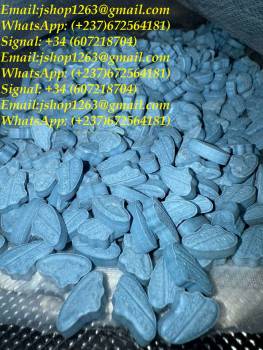 Signal: +(34)607218704) Buy Adderall Online GHB Liquid and Powder Gamma Butyrolactone high quality research chemicals.