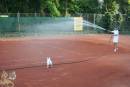 tenis
