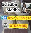 5cladba precursor raw 5cl - adb - a raw material