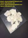 Signal: (@Realjames.39) Buy MDMA,LSD,ketamine,Gbl/Ghb ,Methadone 40mg,Adderall, Vyvanse,(Amphetamine) for ADHD Online